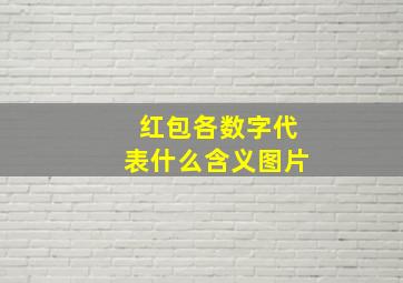 红包各数字代表什么含义图片