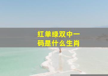 红单绿双中一码是什么生肖