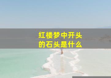 红楼梦中开头的石头是什么