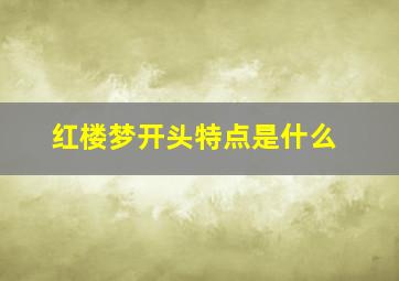 红楼梦开头特点是什么