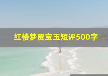 红楼梦贾宝玉短评500字