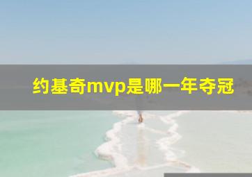 约基奇mvp是哪一年夺冠