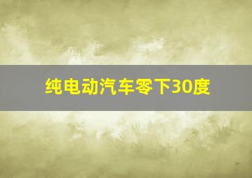 纯电动汽车零下30度