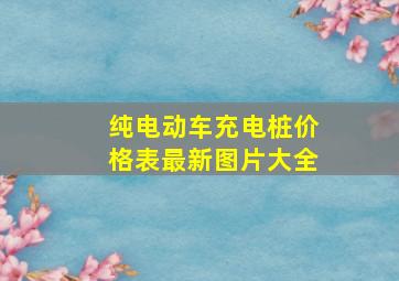 纯电动车充电桩价格表最新图片大全