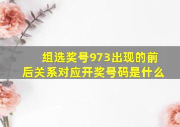 组选奖号973出现的前后关系对应开奖号码是什么