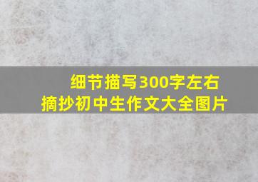 细节描写300字左右摘抄初中生作文大全图片