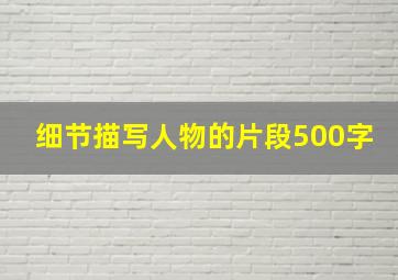 细节描写人物的片段500字