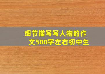 细节描写写人物的作文500字左右初中生