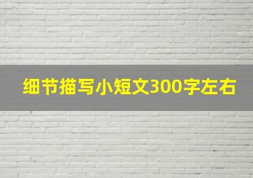 细节描写小短文300字左右