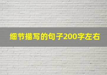 细节描写的句子200字左右