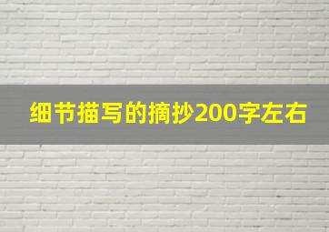 细节描写的摘抄200字左右