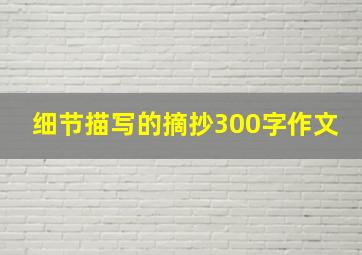 细节描写的摘抄300字作文