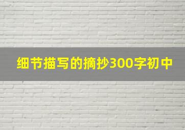 细节描写的摘抄300字初中