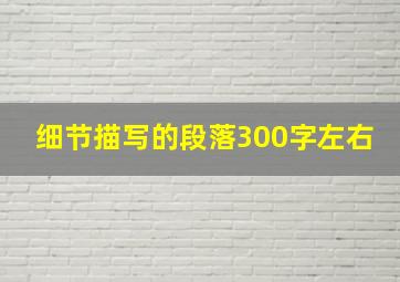 细节描写的段落300字左右