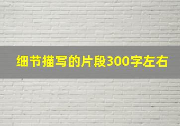 细节描写的片段300字左右