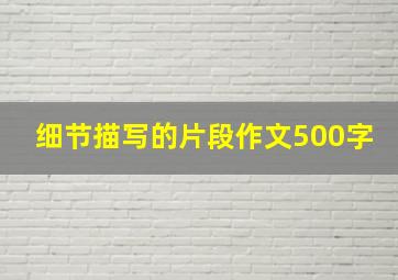 细节描写的片段作文500字