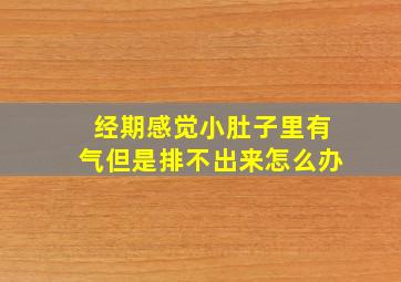 经期感觉小肚子里有气但是排不出来怎么办