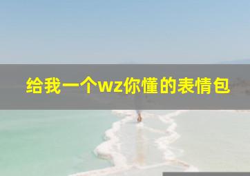 给我一个wz你懂的表情包