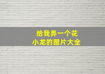 给我弄一个花小龙的图片大全