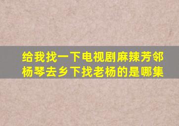 给我找一下电视剧麻辣芳邻杨琴去乡下找老杨的是哪集