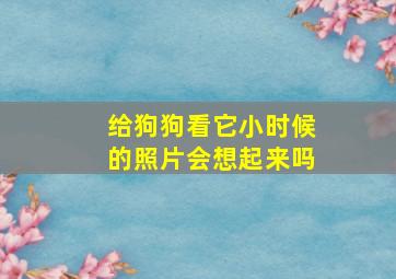 给狗狗看它小时候的照片会想起来吗