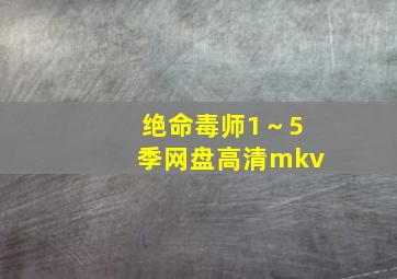 绝命毒师1～5季网盘高清mkv