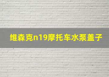 维森克n19摩托车水泵盖子