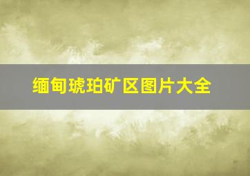 缅甸琥珀矿区图片大全