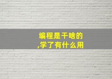 编程是干啥的,学了有什么用