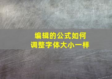 编辑的公式如何调整字体大小一样