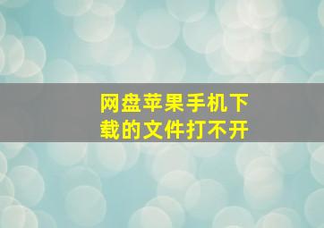 网盘苹果手机下载的文件打不开