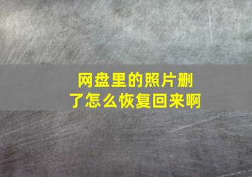 网盘里的照片删了怎么恢复回来啊