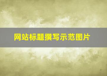 网站标题撰写示范图片