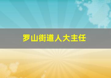 罗山街道人大主任