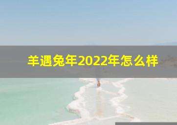 羊遇兔年2022年怎么样