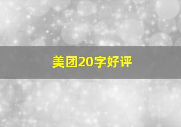 美团20字好评