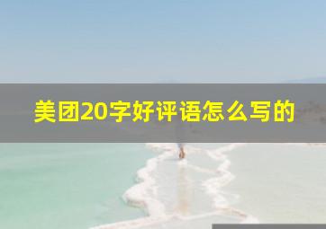 美团20字好评语怎么写的