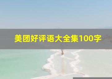 美团好评语大全集100字