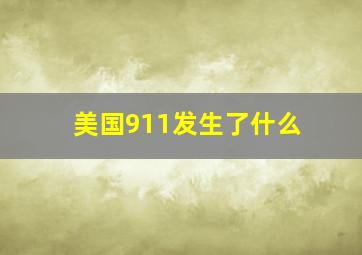 美国911发生了什么