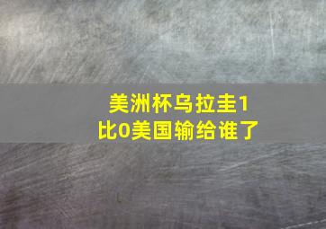 美洲杯乌拉圭1比0美国输给谁了