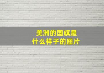 美洲的国旗是什么样子的图片