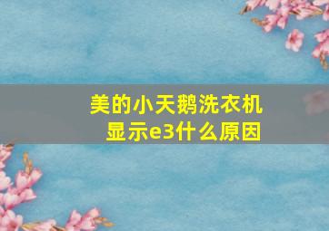 美的小天鹅洗衣机显示e3什么原因