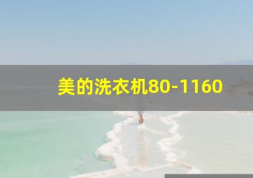 美的洗衣机80-1160