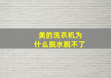 美的洗衣机为什么脱水脱不了