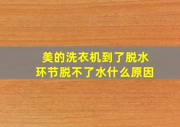 美的洗衣机到了脱水环节脱不了水什么原因