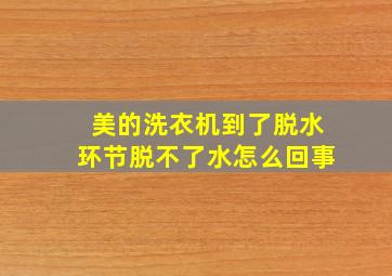 美的洗衣机到了脱水环节脱不了水怎么回事