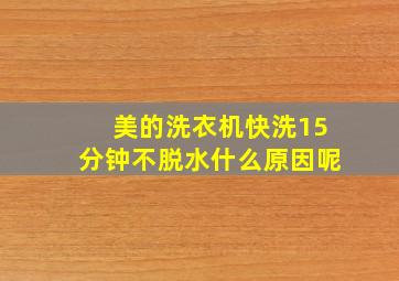 美的洗衣机快洗15分钟不脱水什么原因呢