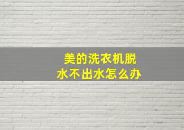 美的洗衣机脱水不出水怎么办