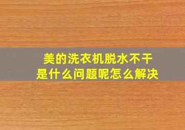 美的洗衣机脱水不干是什么问题呢怎么解决