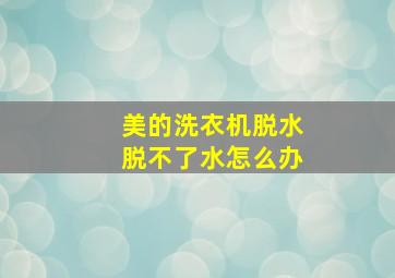 美的洗衣机脱水脱不了水怎么办